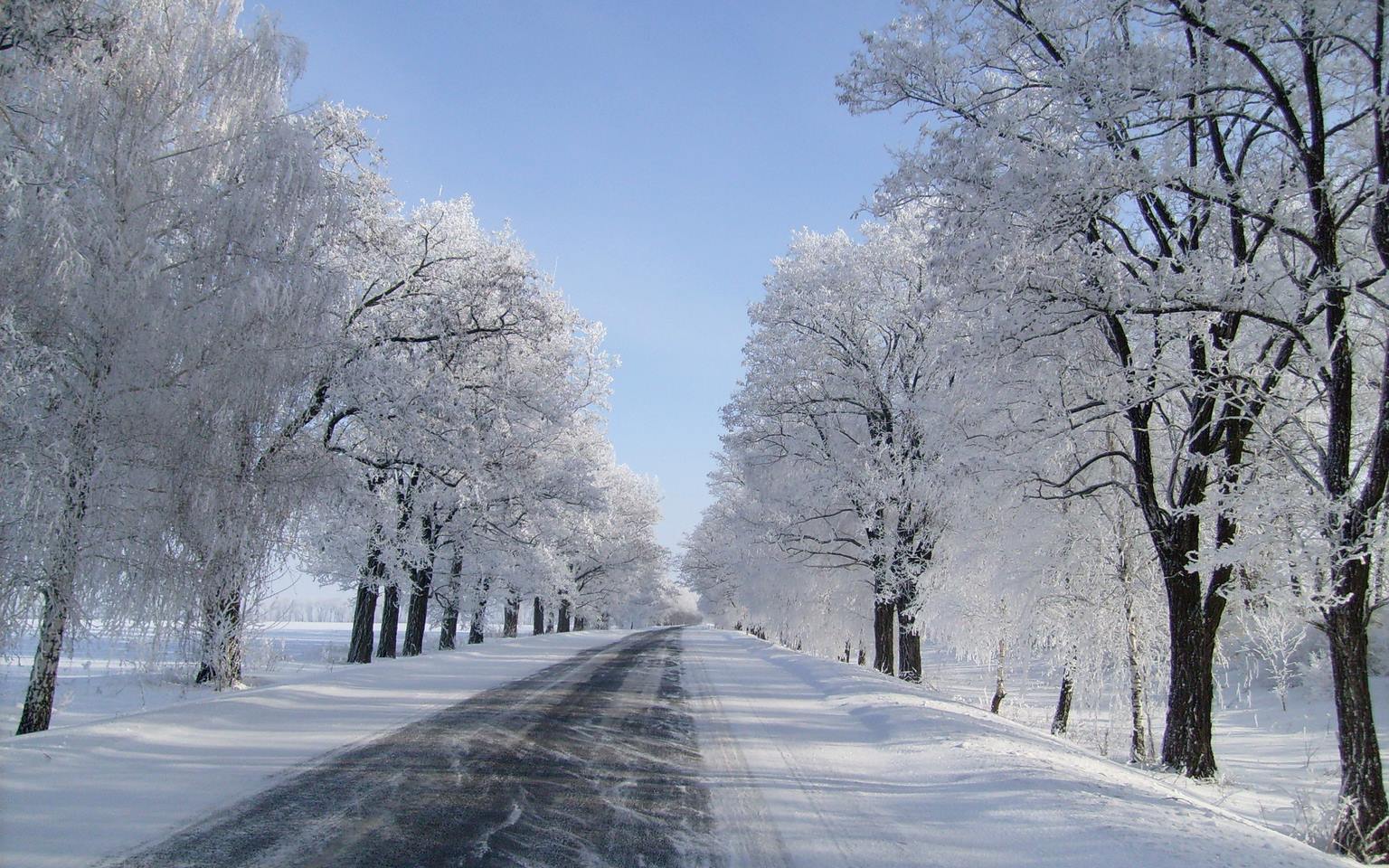 Мороз і мокрий сніг: прогноз погоди на 13 лютого на Полтавщині 