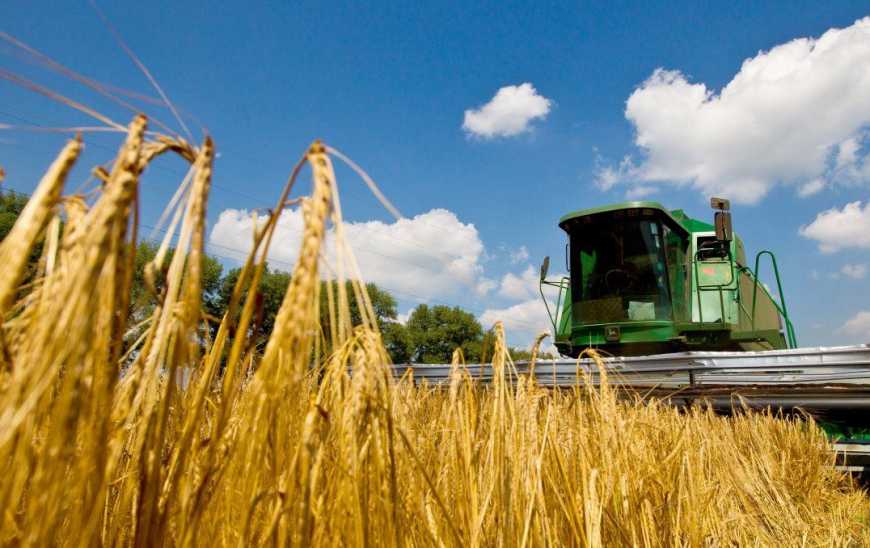 Аграрії Полтавщини завершили збір ранніх зернових та зернобобових культур
