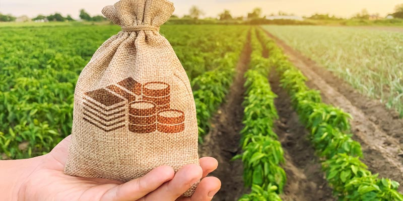 У межах програми «Доступні кредити 5–7–9» аграрії цьогоріч залучили майже 51,4 млрд грн кредитів