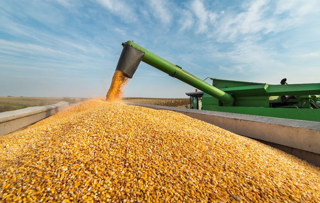 Аграрії області намолотили 2 мільйони тонн пізніх зернових і зернобобових